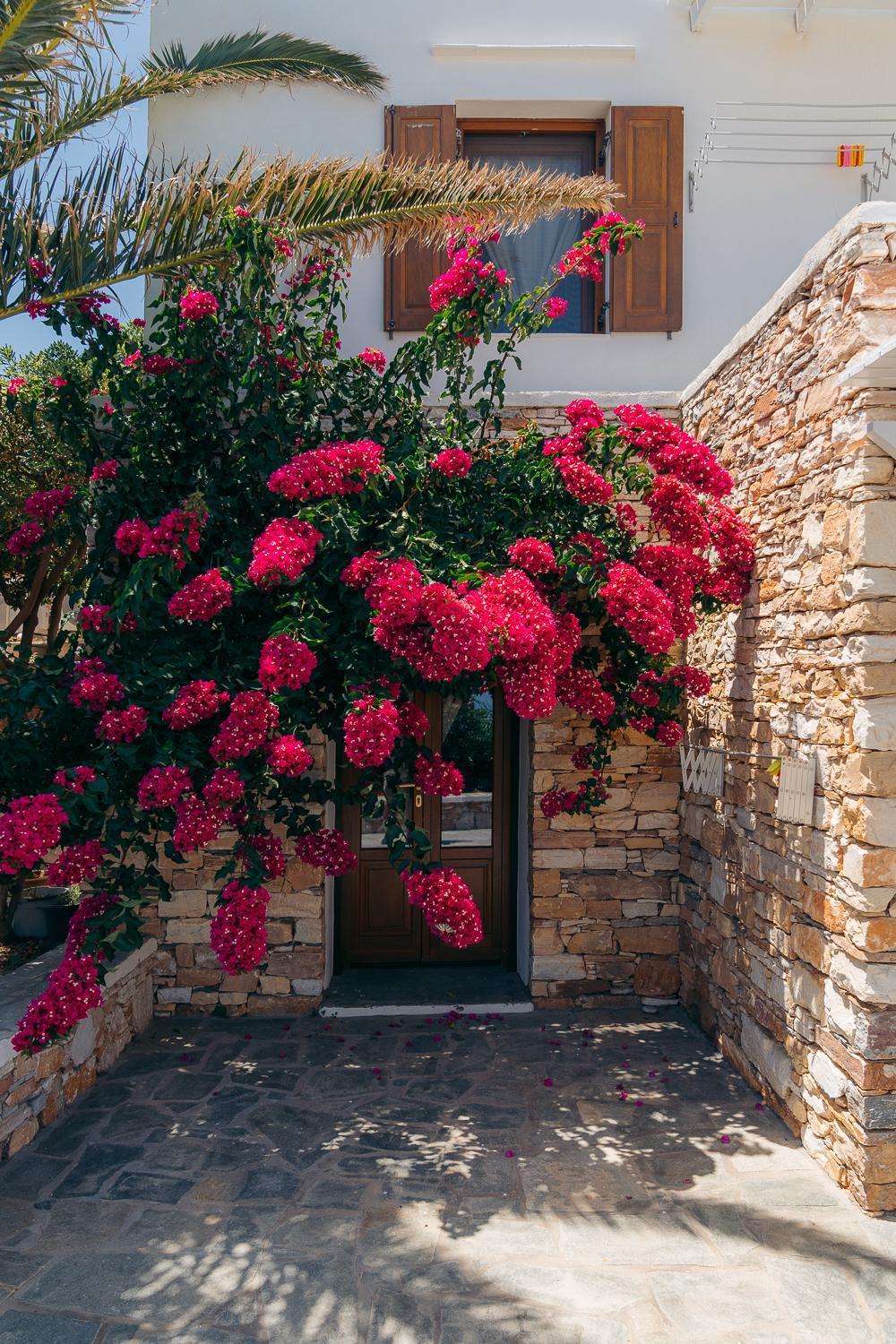 Loukia Apartments Artemonas Exterior photo